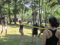IMG 4636